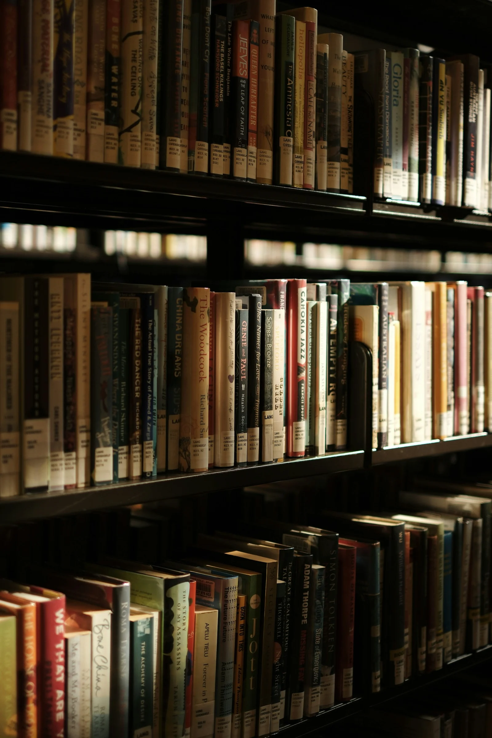Rows of books on library shelves；第三方摄影参考